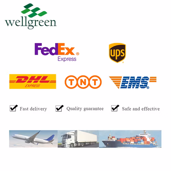 Natürliches 30 % 50 % Vitamin-E-Pulver, gemischtes Tocopherol-Pulver